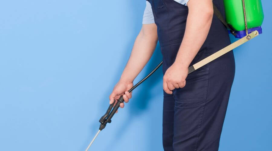 Why choose TermiTech Solutions for termite control north charleston in North Charleston